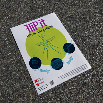 Flip it Campaign