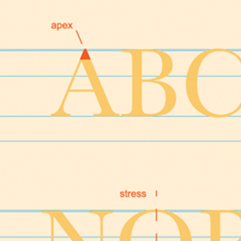 typography studies